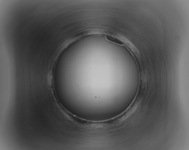 X0000101650993200807171249