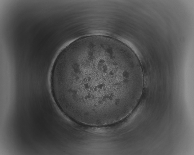 X0000101650995200807171249