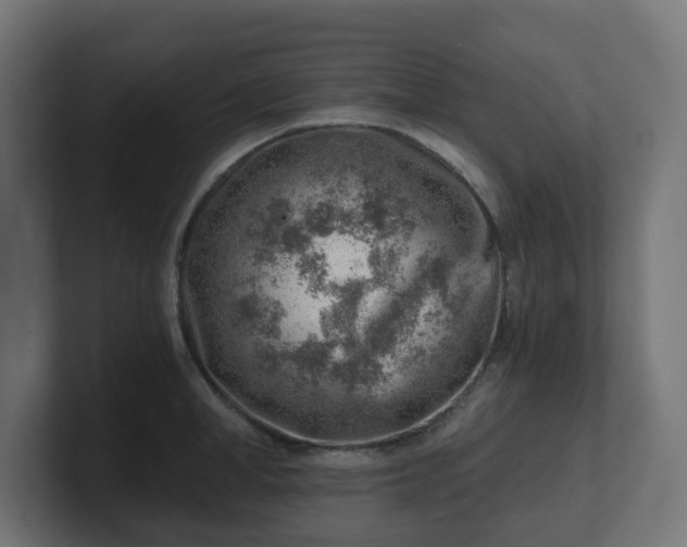 X0000101650998200807171249