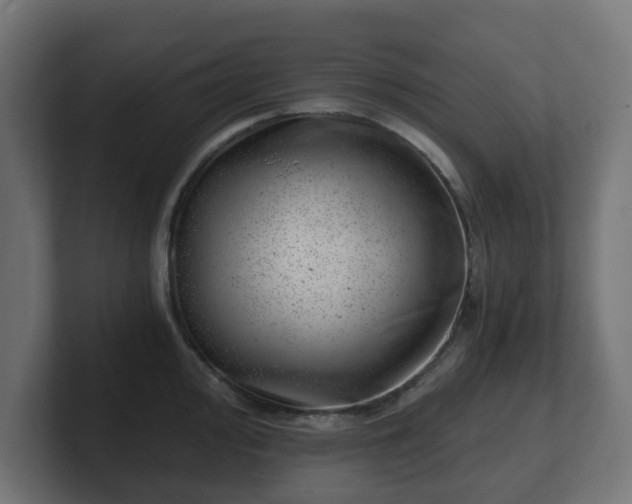 X0000101651000200807171249