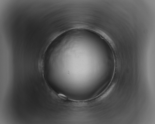 X0000101651001200807171249