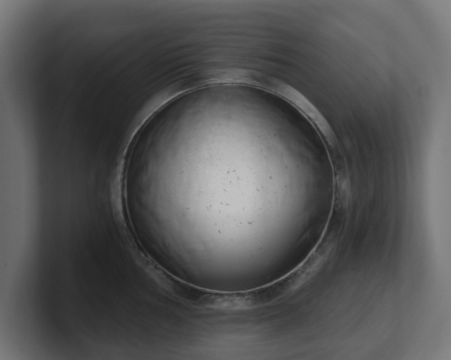 X0000101651002200807171249