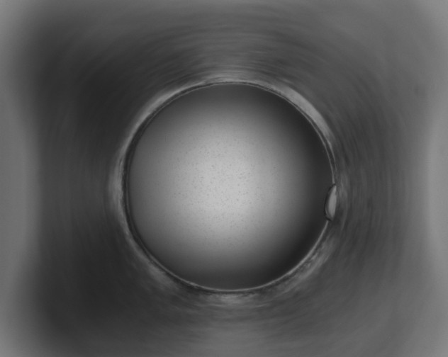 X0000101651005200807171249