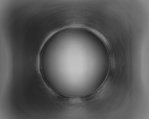 X0000101651006200807171249