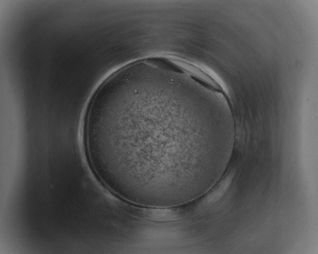 X0000101651007200807171249