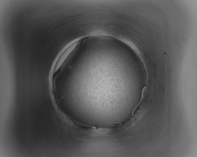 X0000101651008200807171249