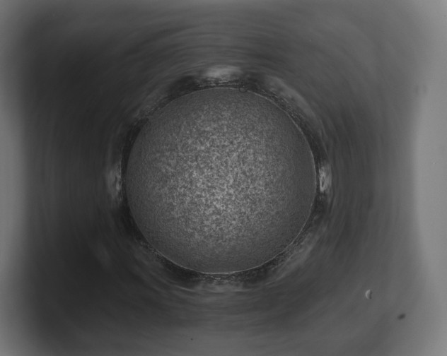 X0000101651011200807171249