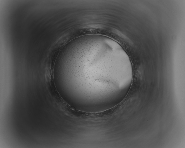 X0000101651014200807171249