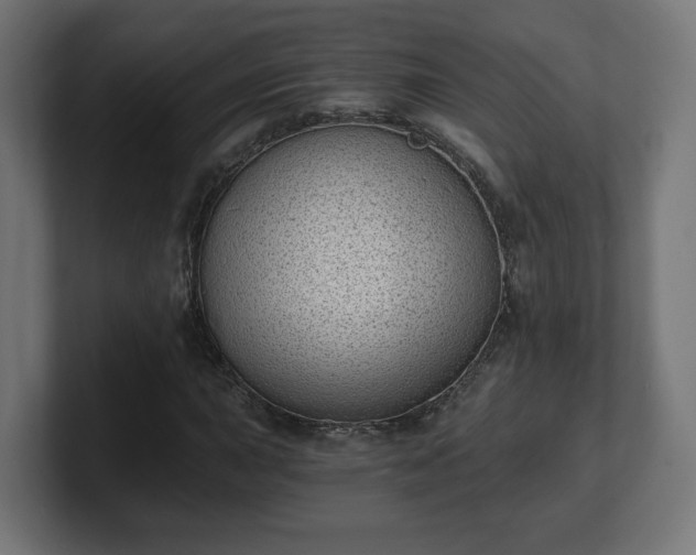 X0000101651015200807171249