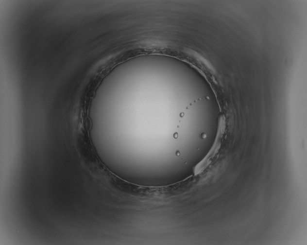 X0000101651016200807171249