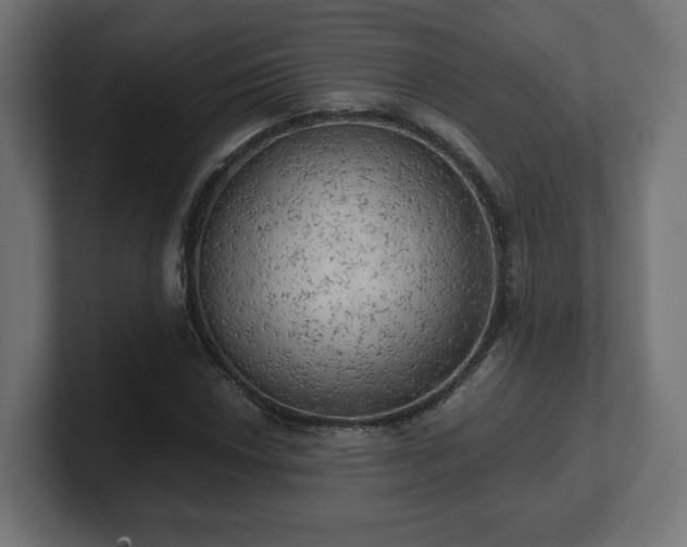 X0000101651018200807171249