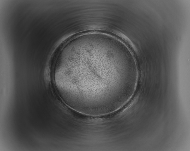 X0000101651019200807171249