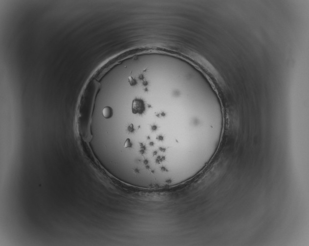 X0000101651020200807171249