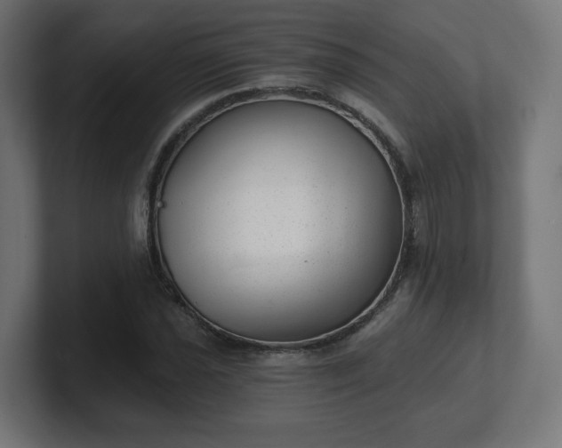 X0000101651021200807171249