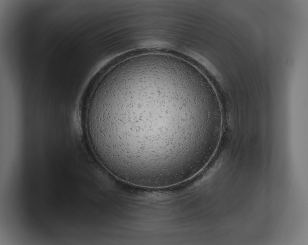 X0000101651022200807171249