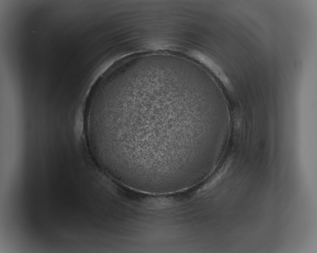 X0000101651023200807171249