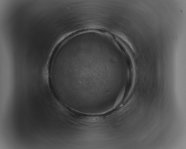 X0000101651024200807171249