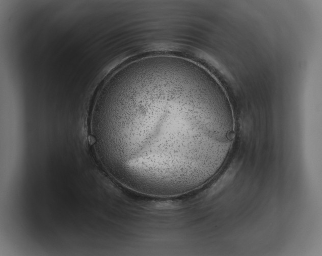 X0000101651025200807171249