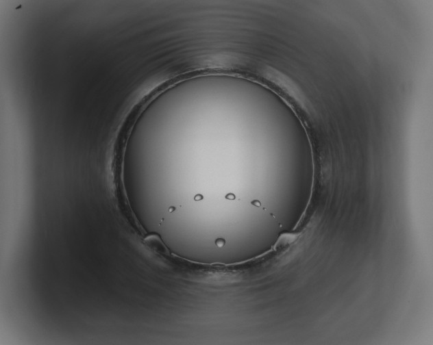 X0000101651026200807171249