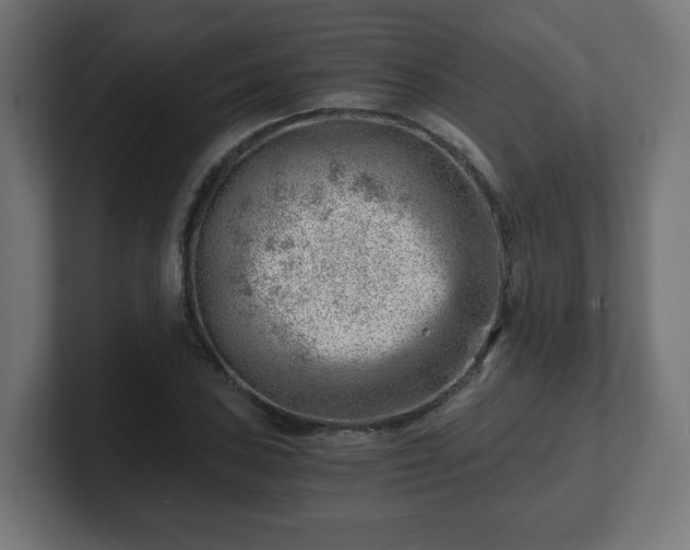 X0000101651027200807171249