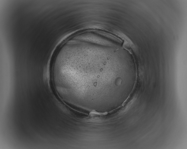 X0000101651028200807171249