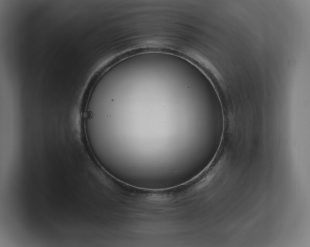 X0000101651029200807171249