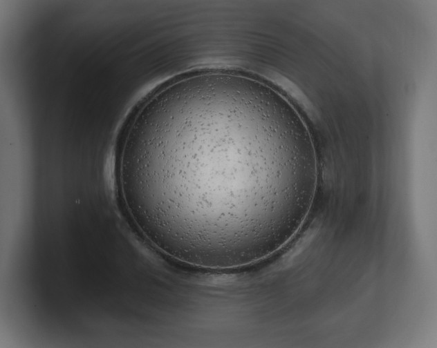 X0000101651030200807171249