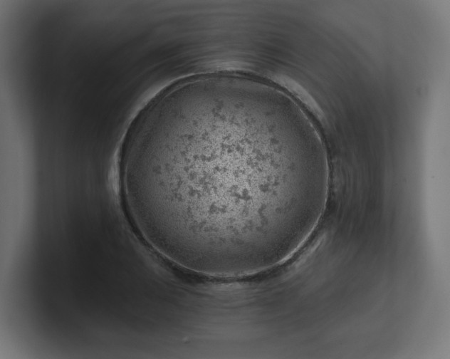 X0000101651031200807171249