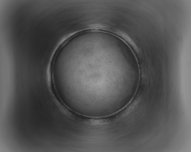 X0000101651032200807171249