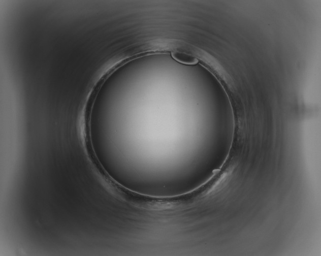 X0000101651034200807171249