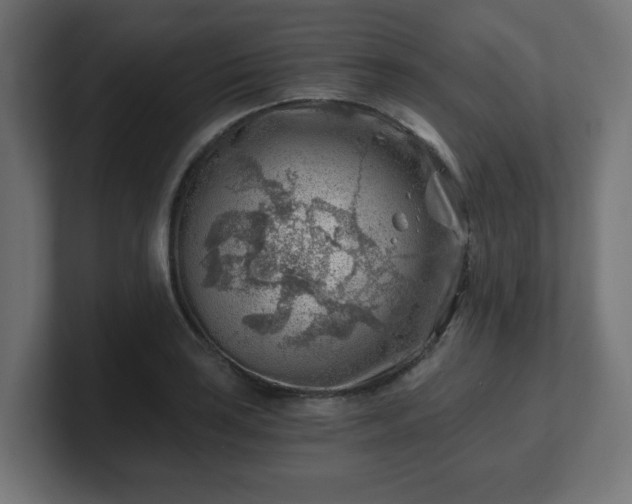 X0000101651035200807171249