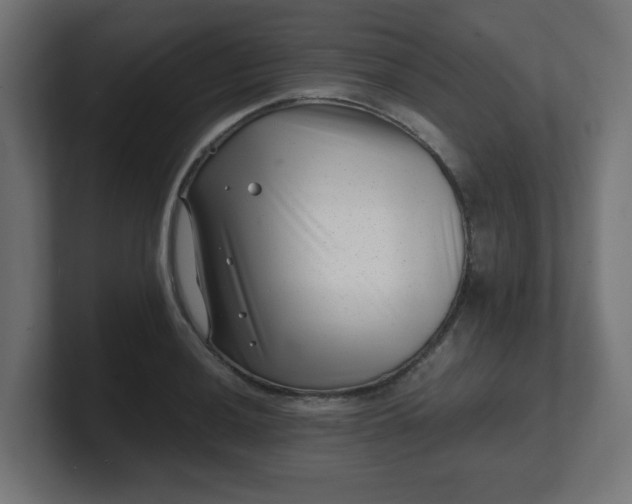 X0000101651036200807171249