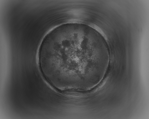 X0000101651037200807171249