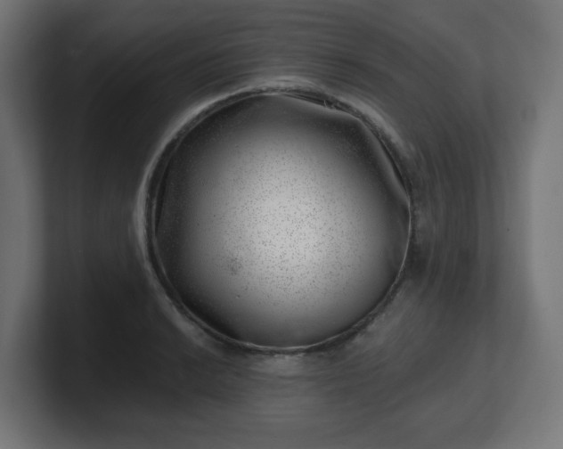 X0000101651038200807171249