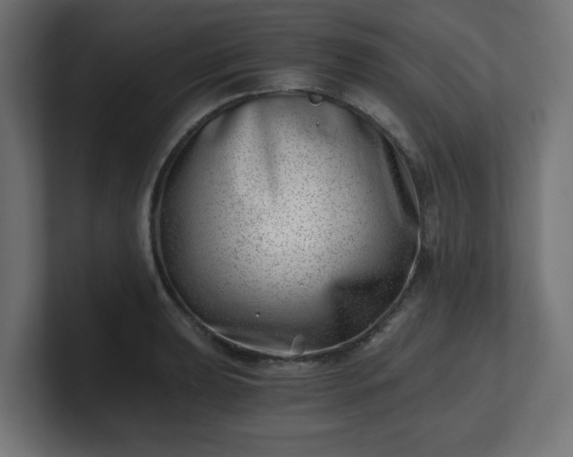 X0000101651039200807171249