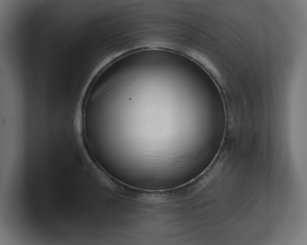 X0000101651040200807171249