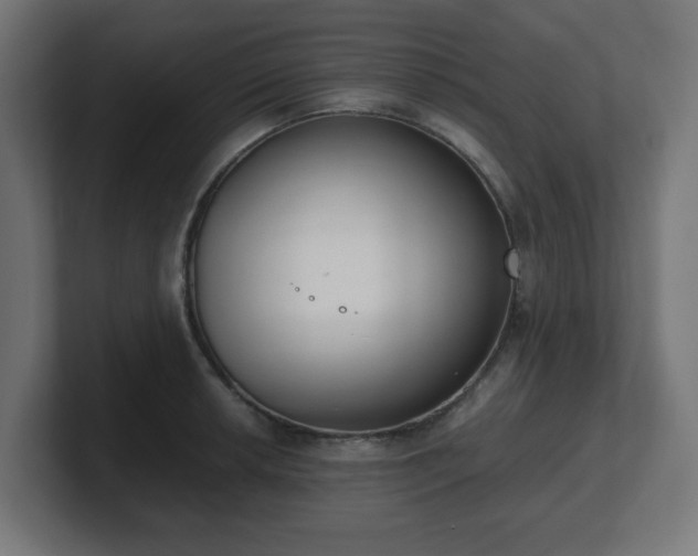 X0000101651042200807171249