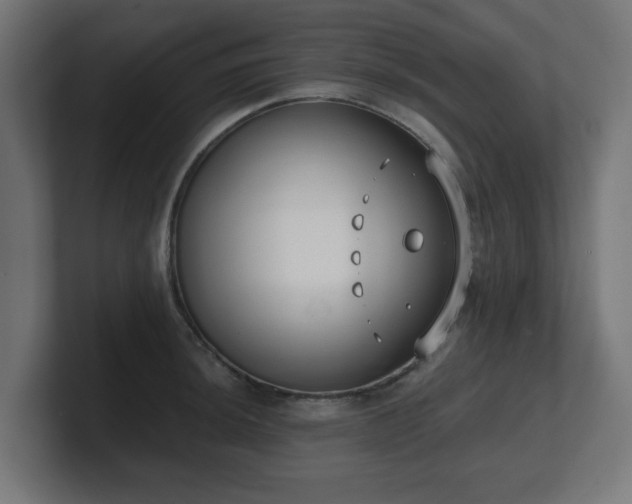 X0000101651044200807171249