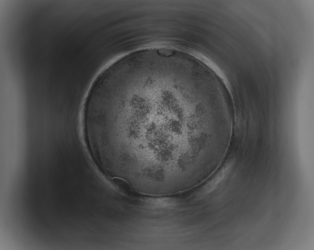 X0000101651045200807171249