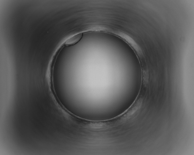 X0000101651046200807171249