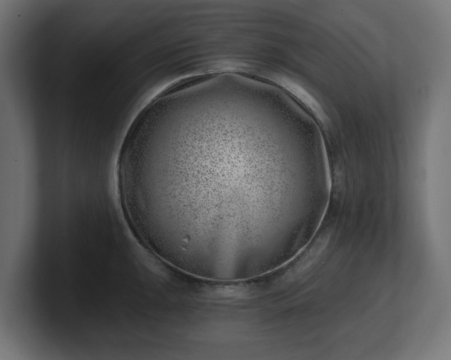 X0000101651047200807171249