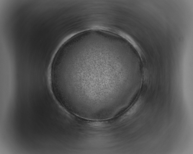 X0000101651048200807171249