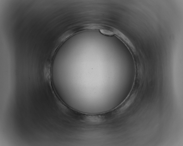 X0000101651049200807171249