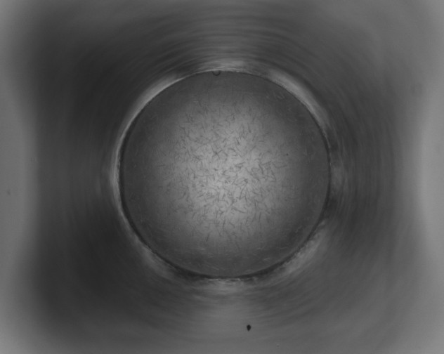X0000101651050200807171249