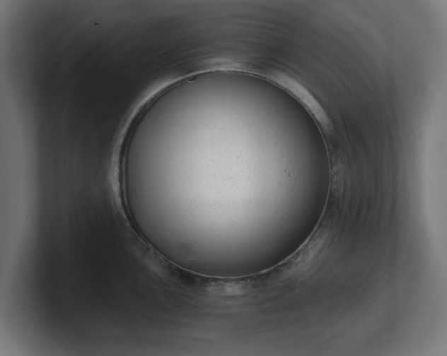 X0000101651051200807171249