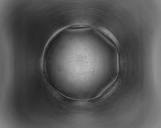 X0000101651052200807171249