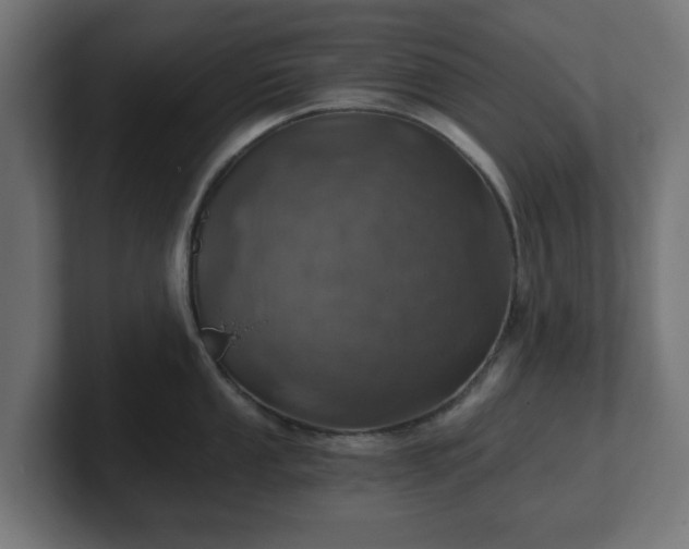 X0000101651053200807171249