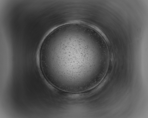 X0000101651054200807171249