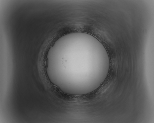 X0000101651057200807171249