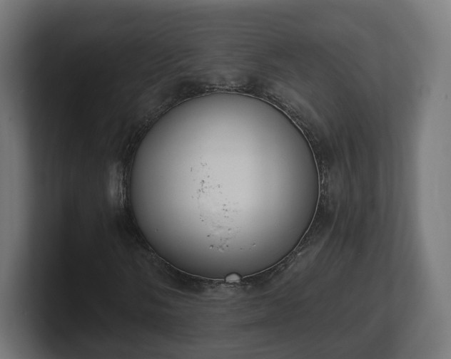 X0000101651058200807171248